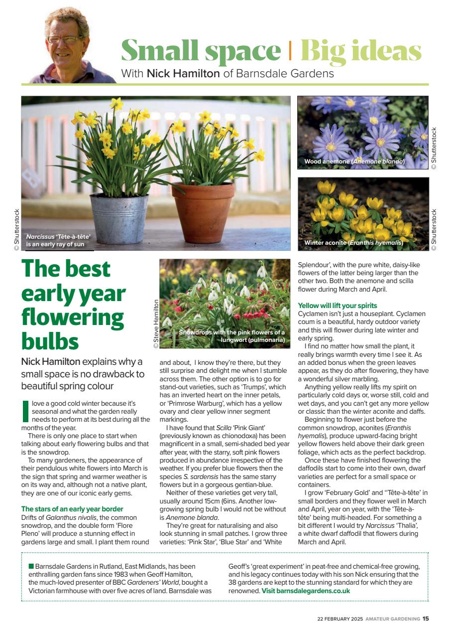 Amateur Gardening Preview Pages