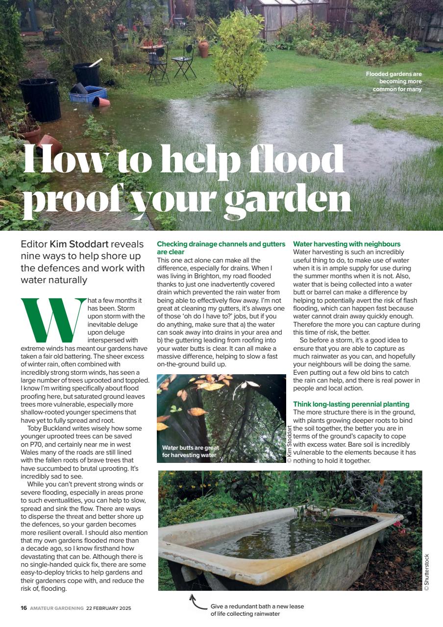Amateur Gardening Preview Pages