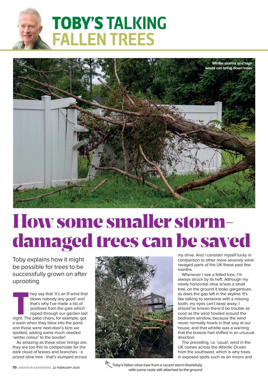 Amateur Gardening Preview Pages