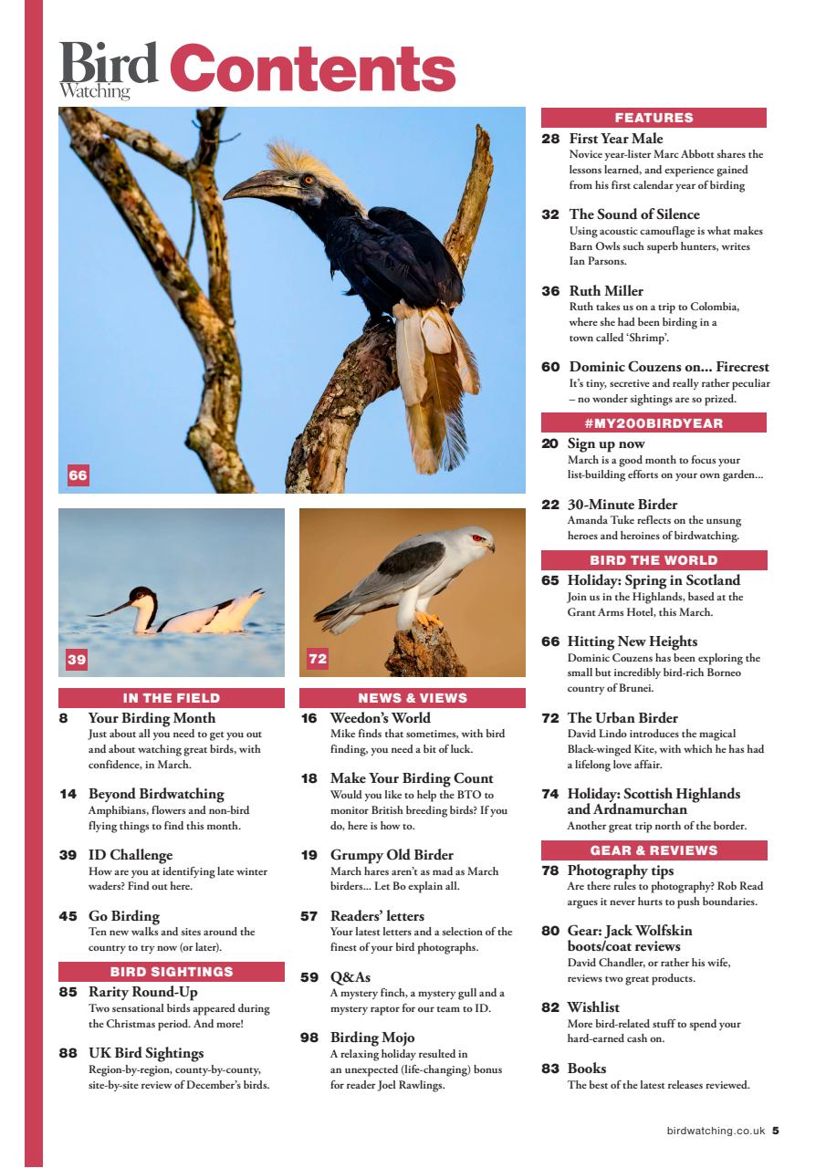 Bird Watching Preview Pages