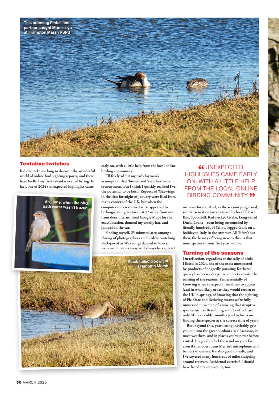 Bird Watching Preview Pages