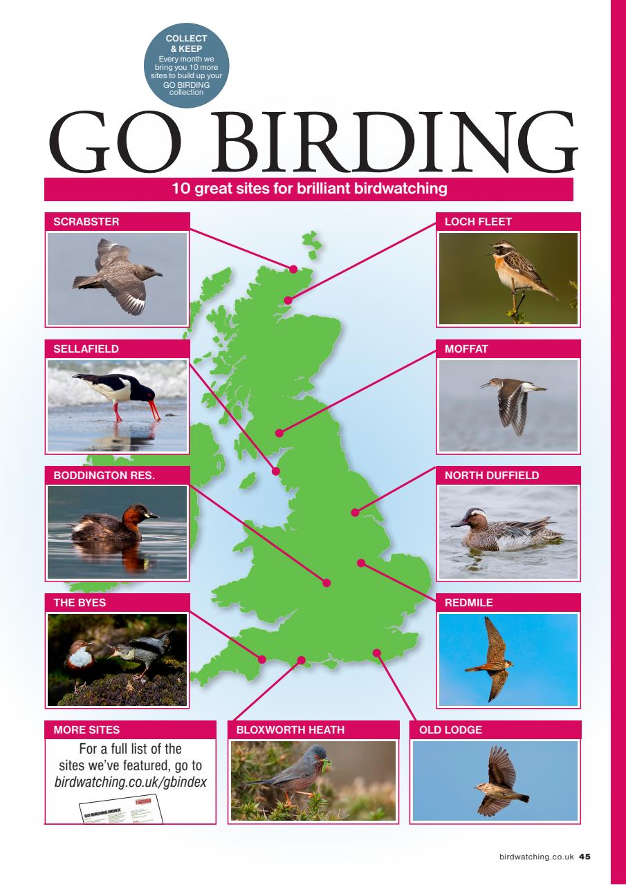 Bird Watching Preview Pages