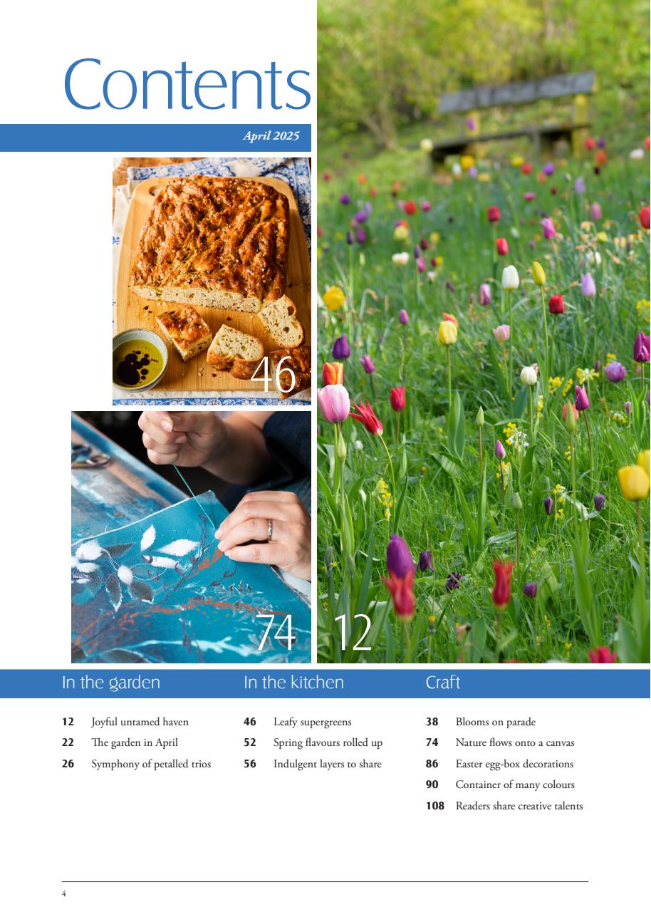 LandScape Preview Pages