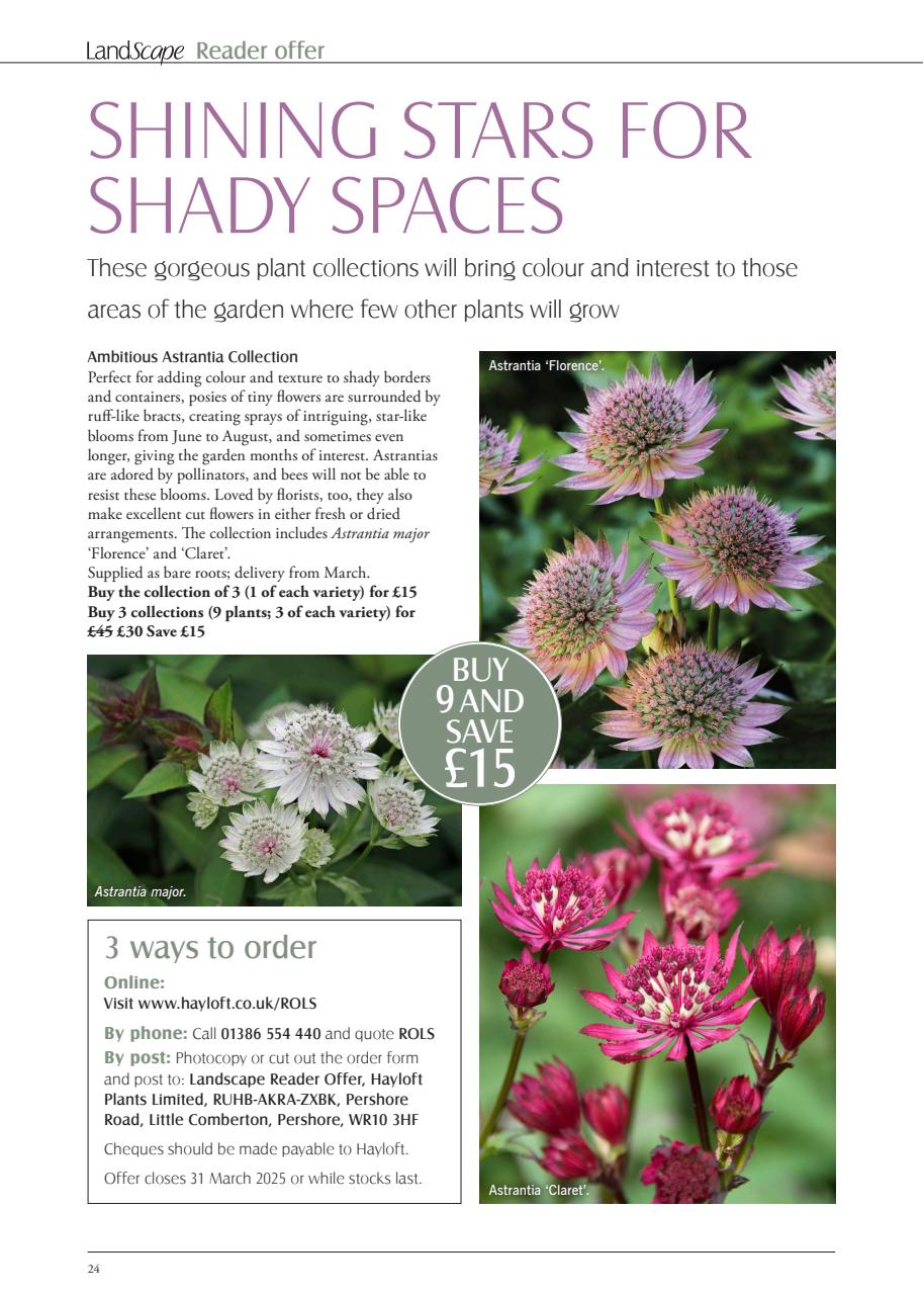 LandScape Preview Pages