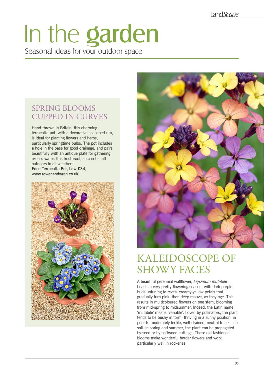 LandScape Preview Pages