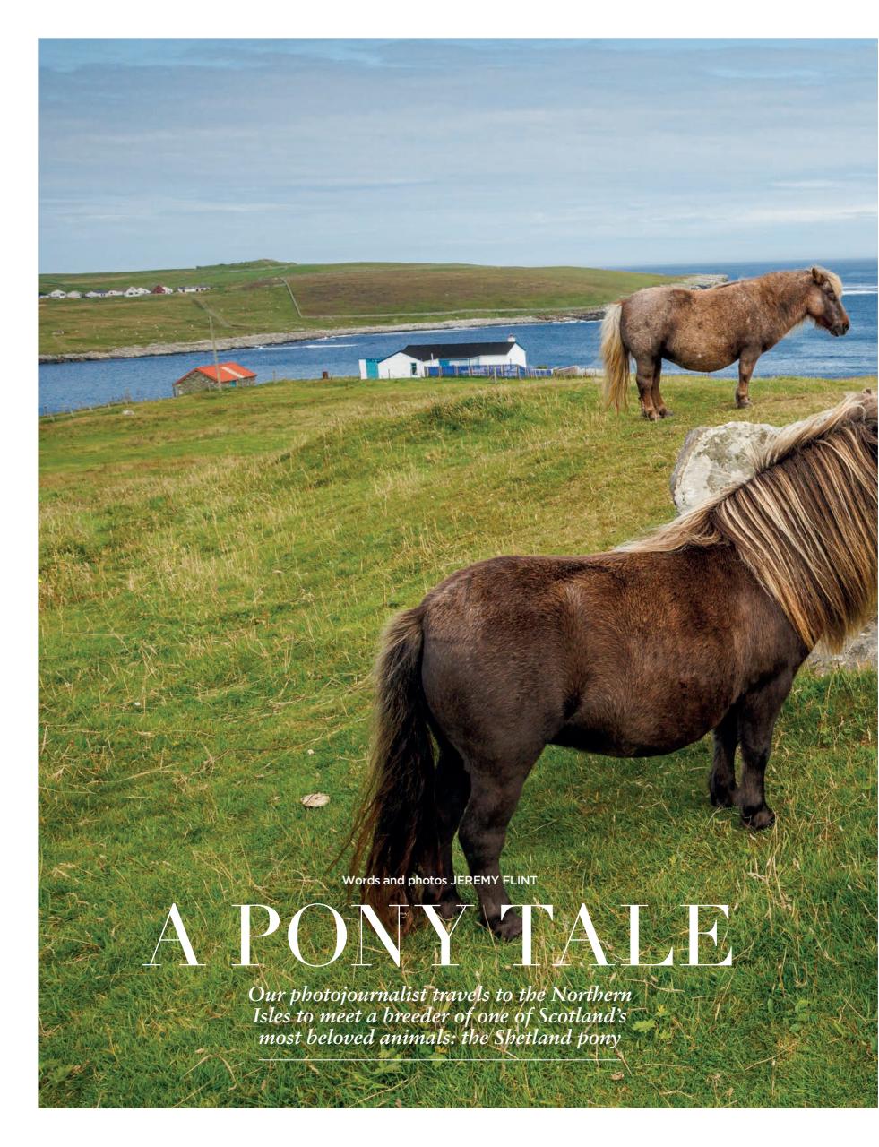 Scotland Magazine Preview Pages