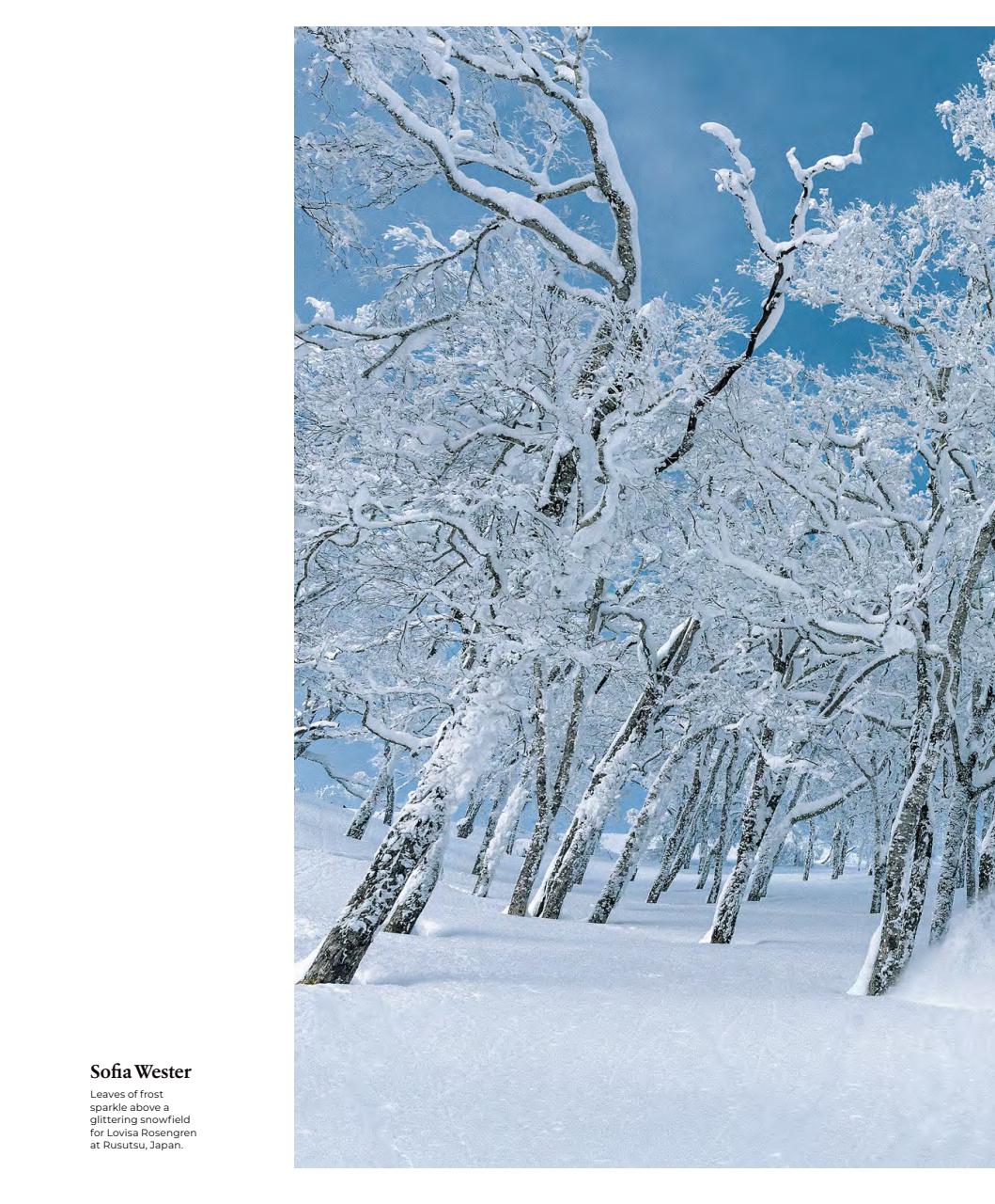 Backcountry Preview Pages