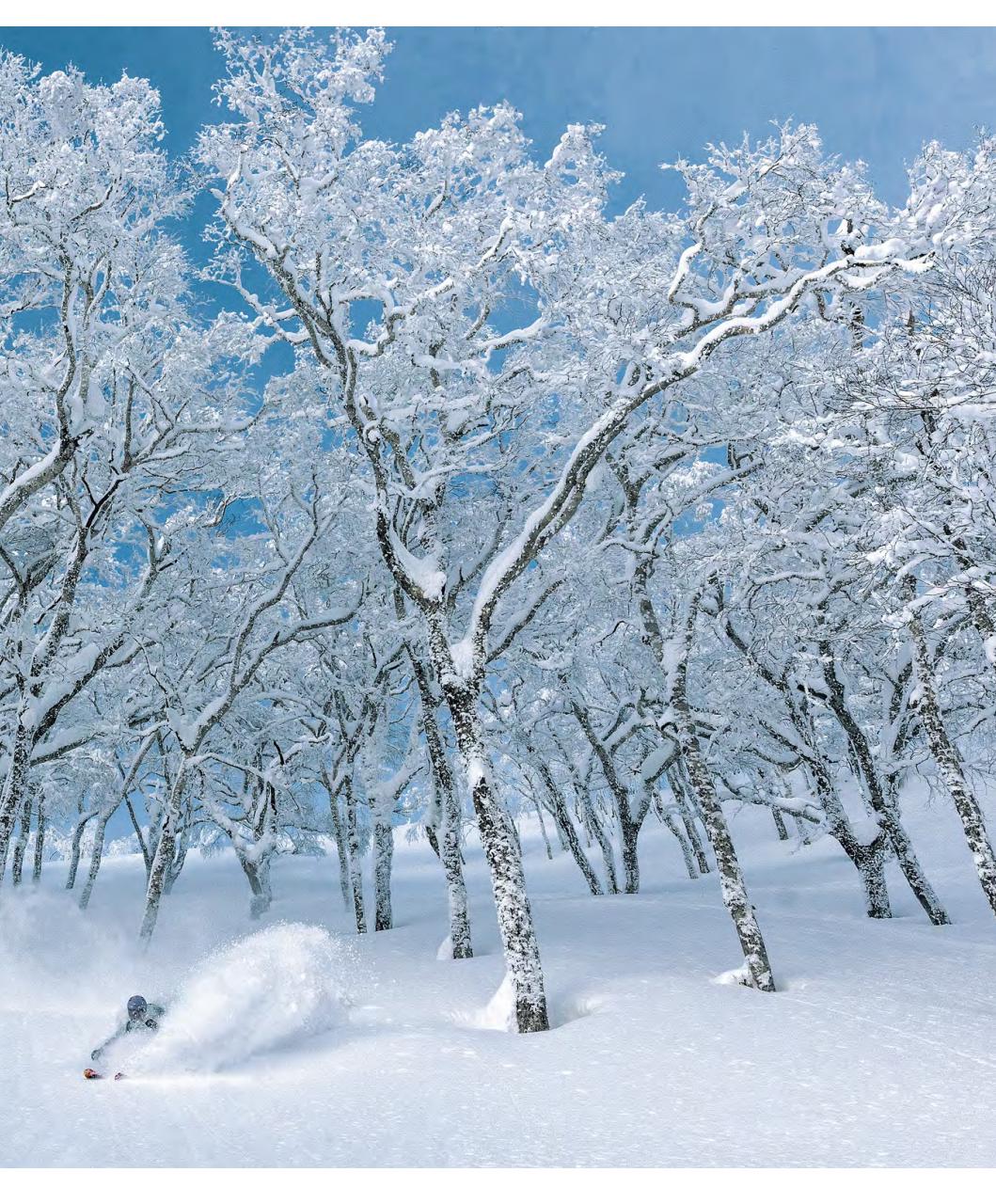 Backcountry Preview Pages