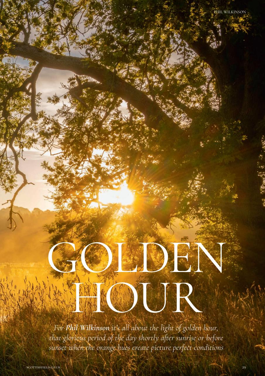 Scottish Field Preview Pages