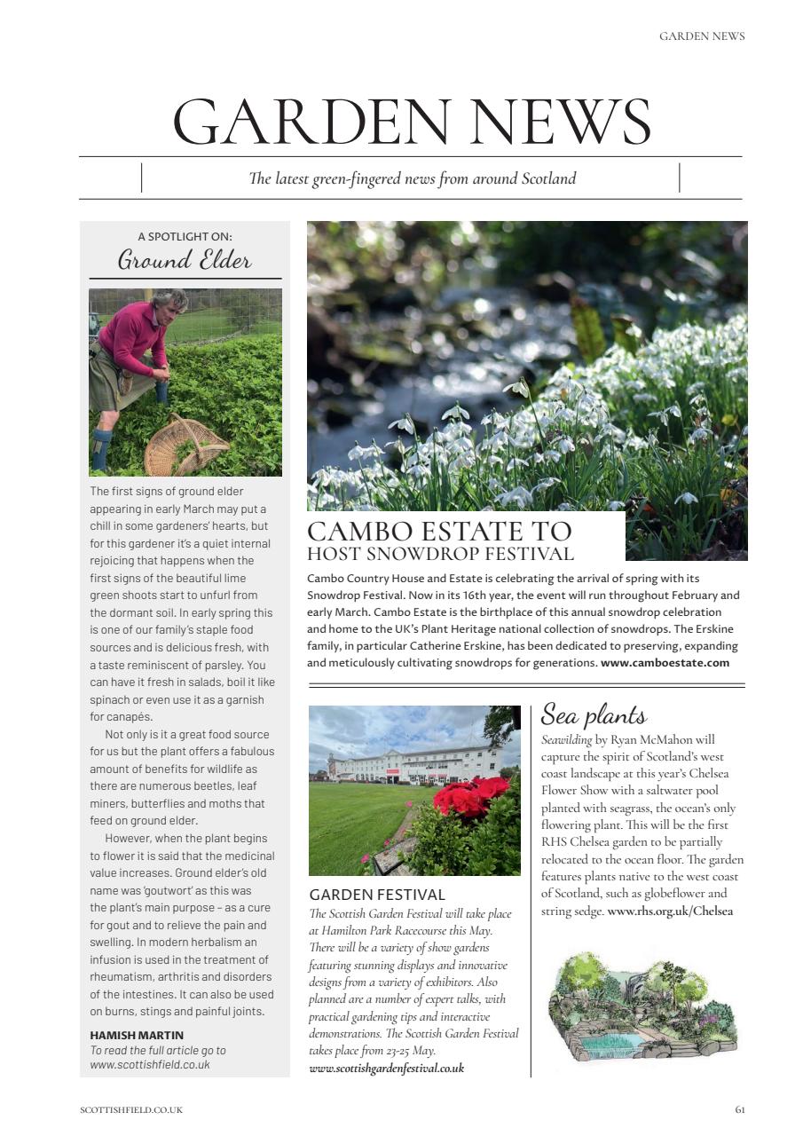 Scottish Field Preview Pages