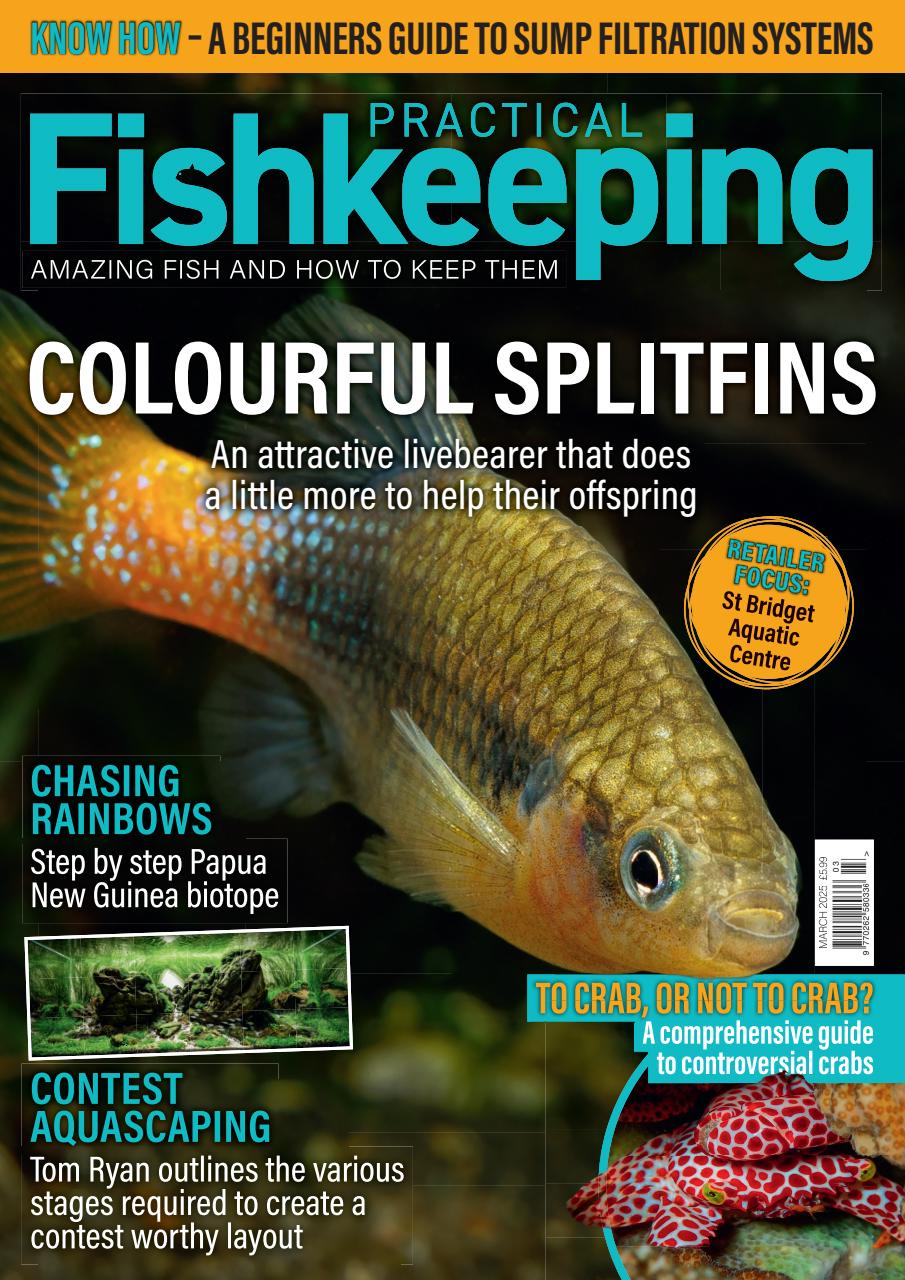 Practical Fishkeeping Preview Pages