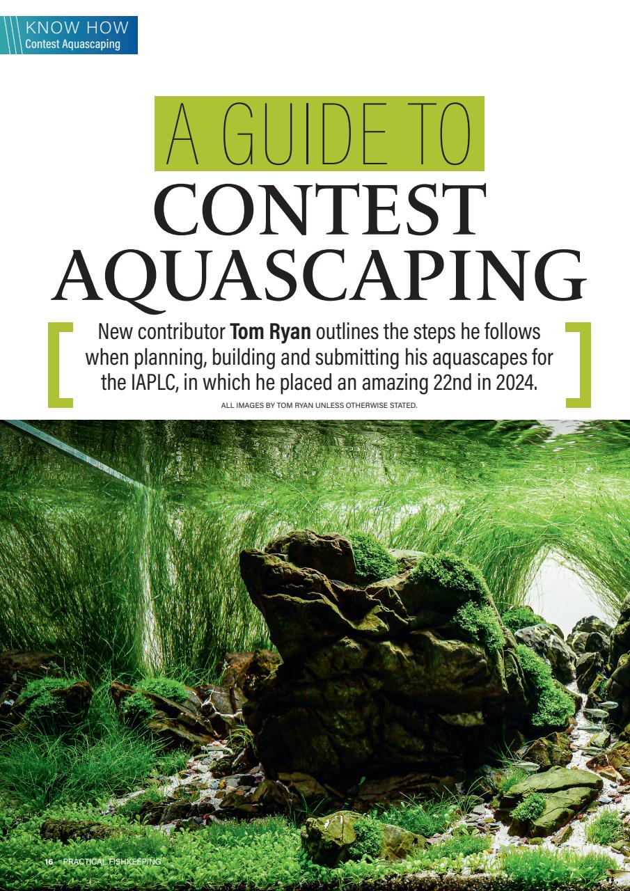 Practical Fishkeeping Preview Pages