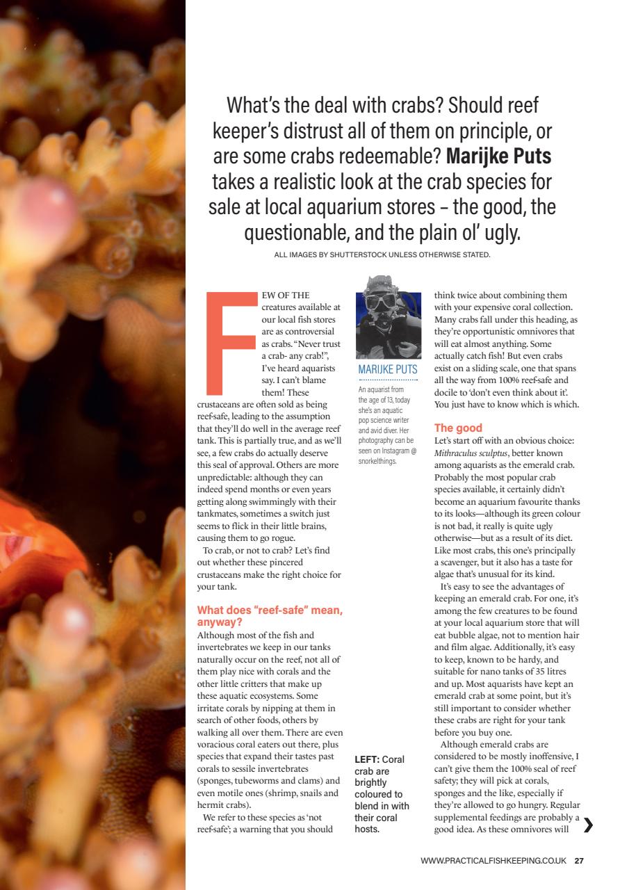 Practical Fishkeeping Preview Pages