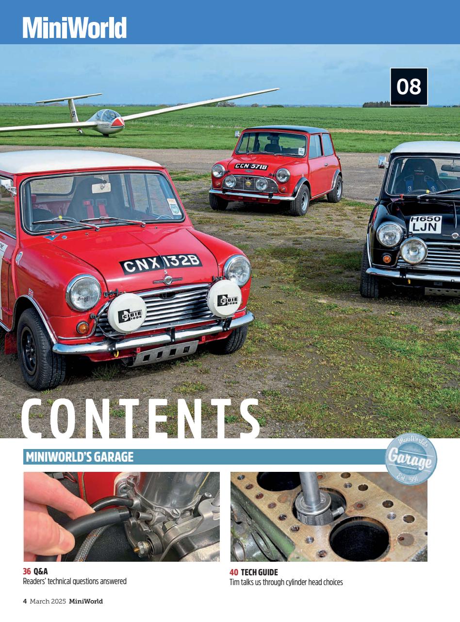 Mini World Preview Pages