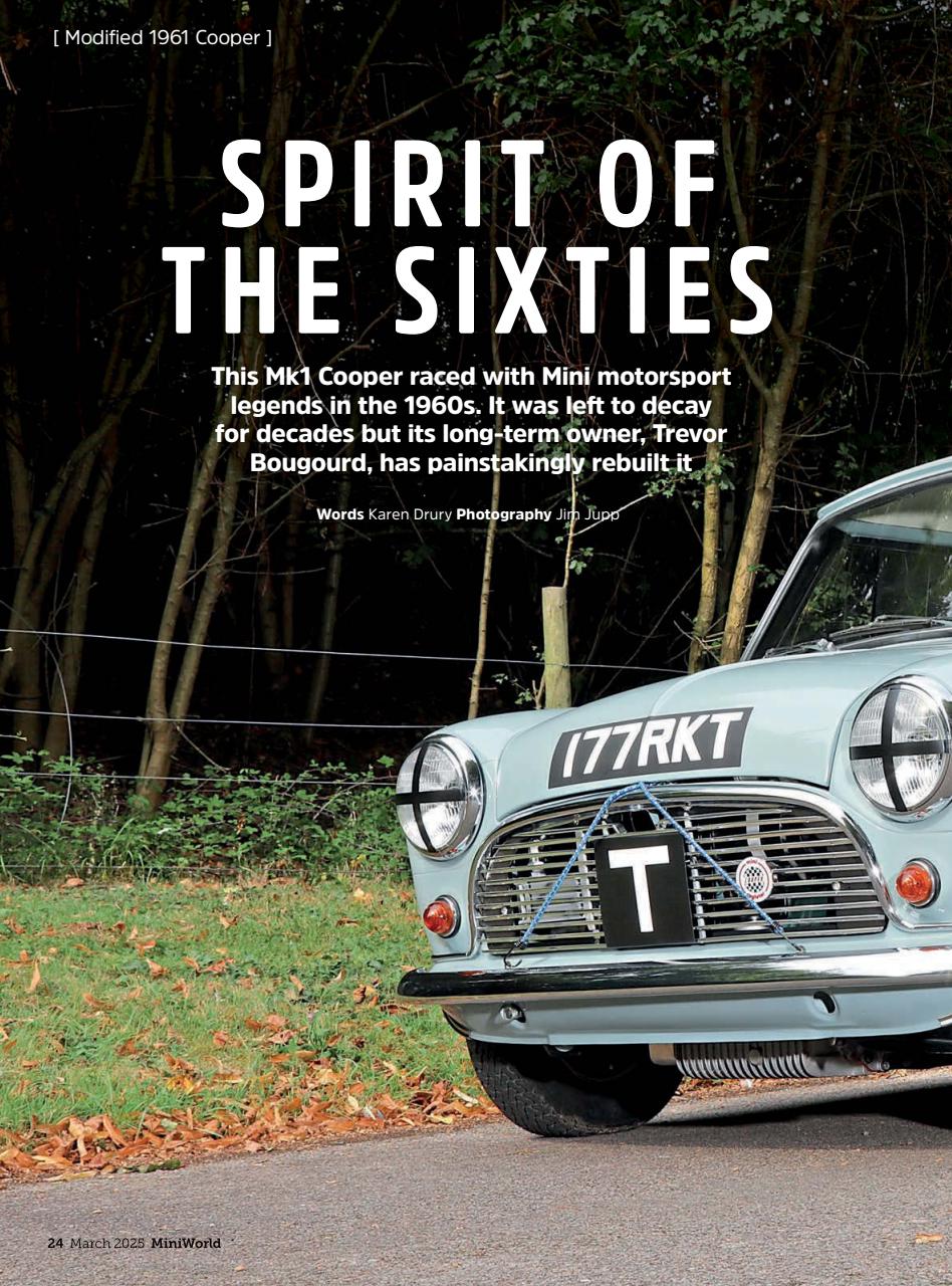 Mini World Preview Pages