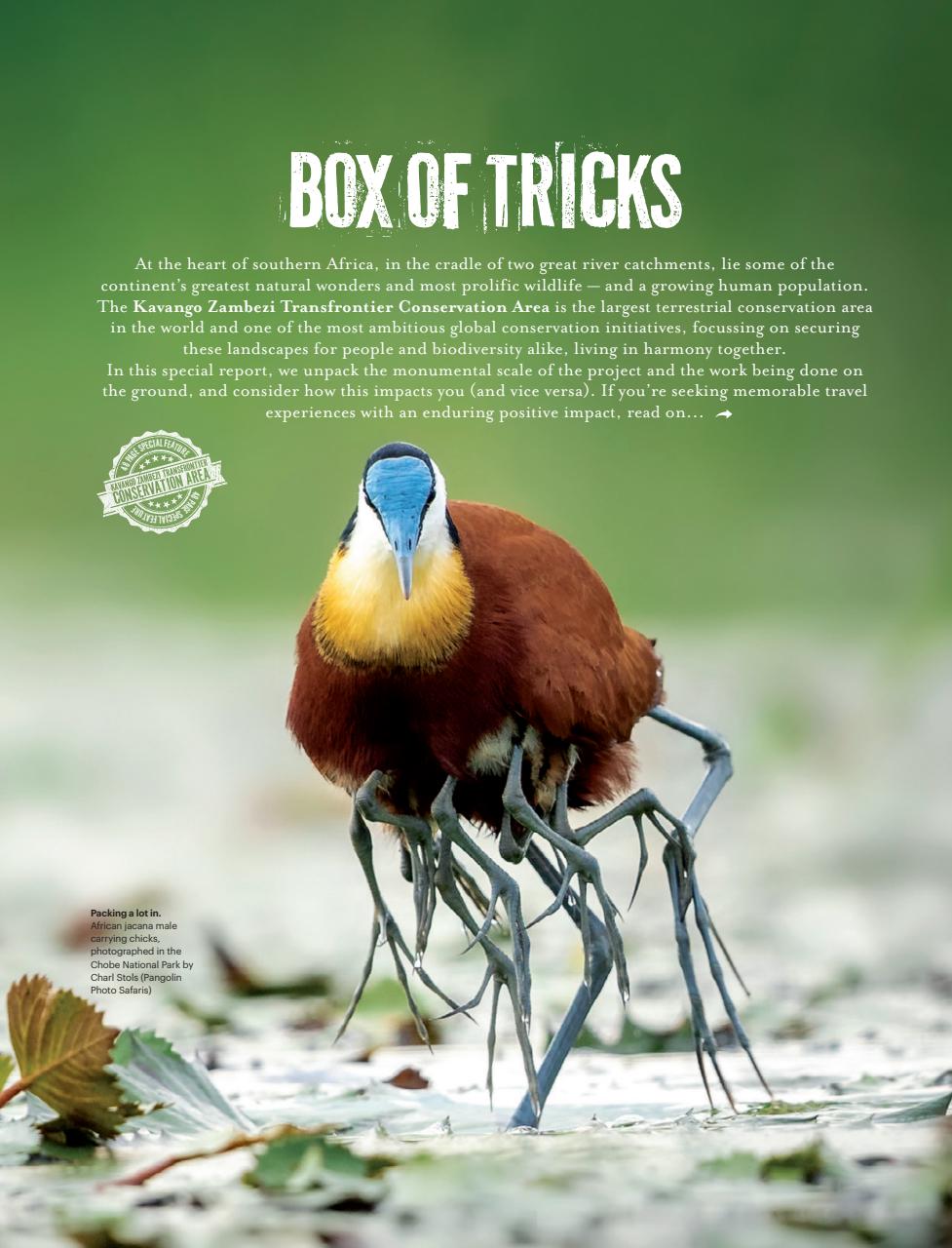 Travel Africa Preview Pages