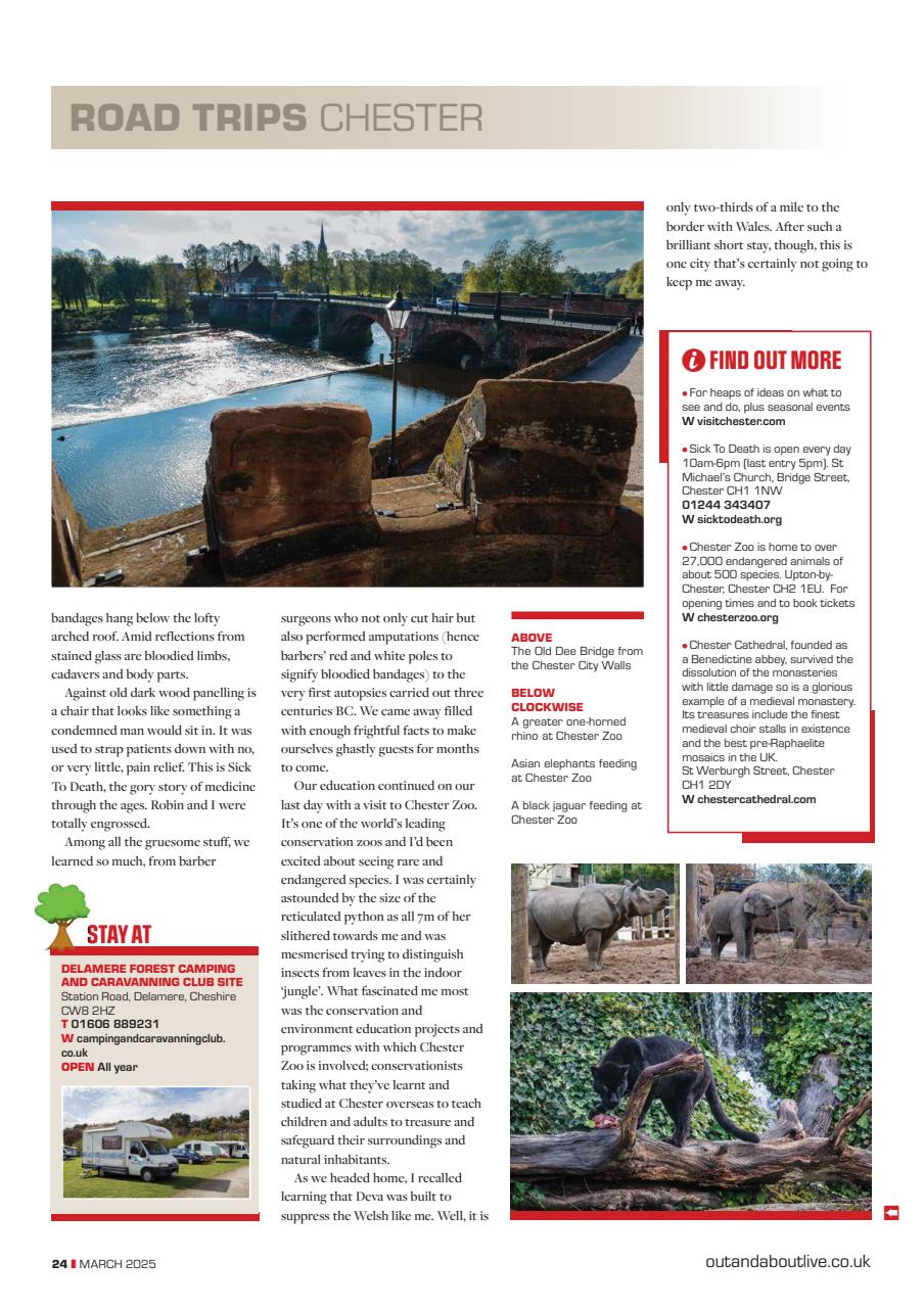 Campervan Preview Pages