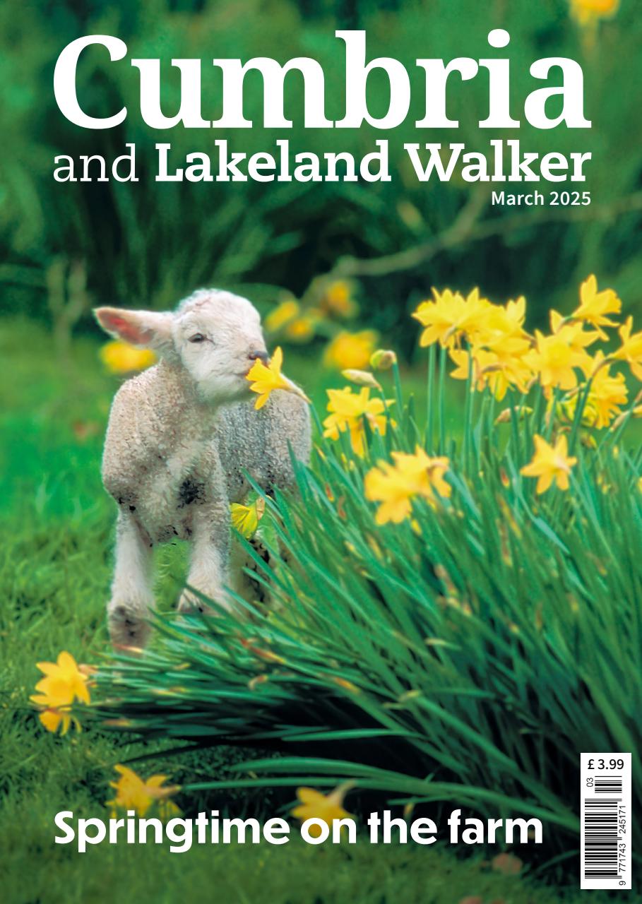 Cumbria and Lakeland Walker Preview Pages