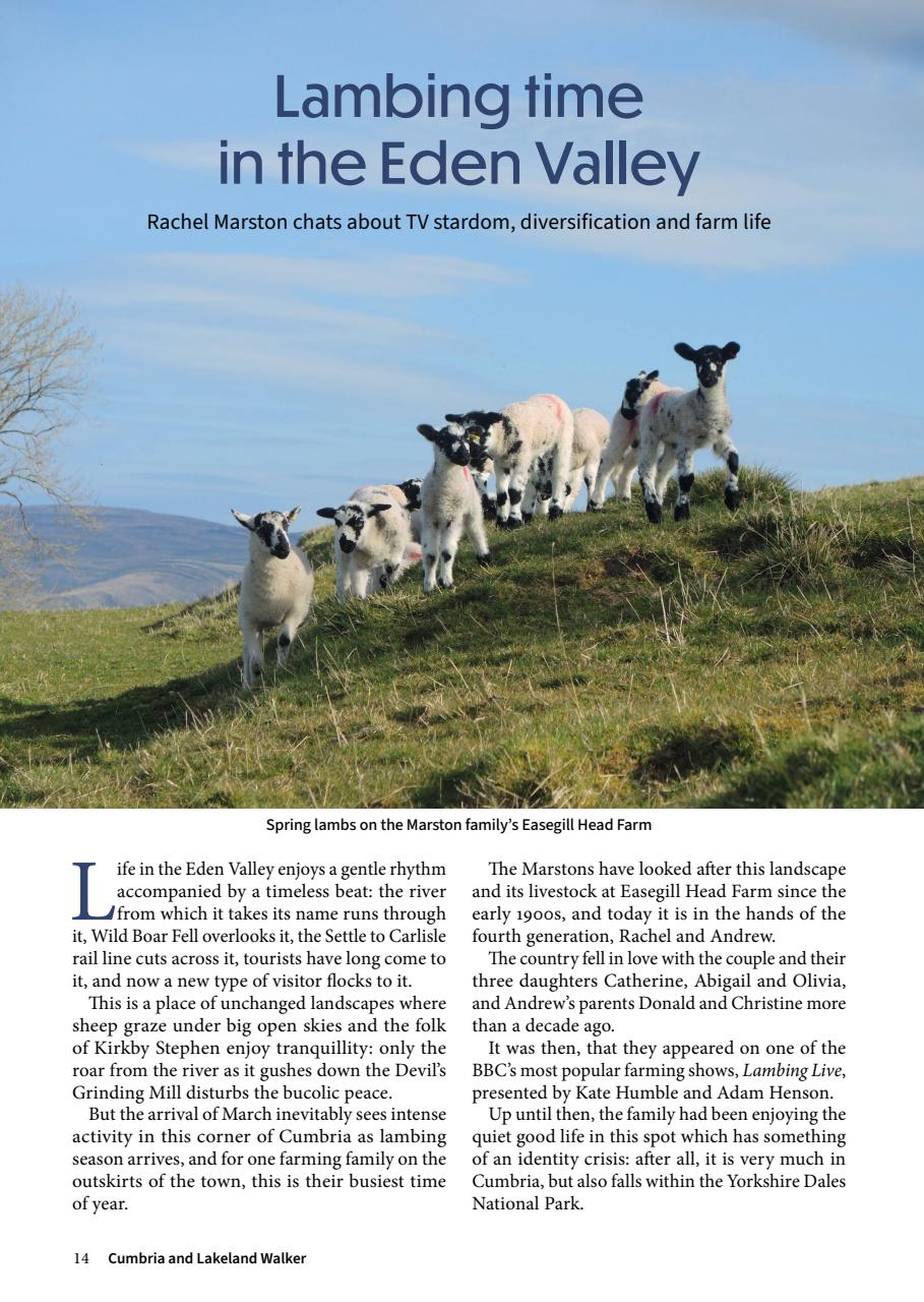 Cumbria and Lakeland Walker Preview Pages