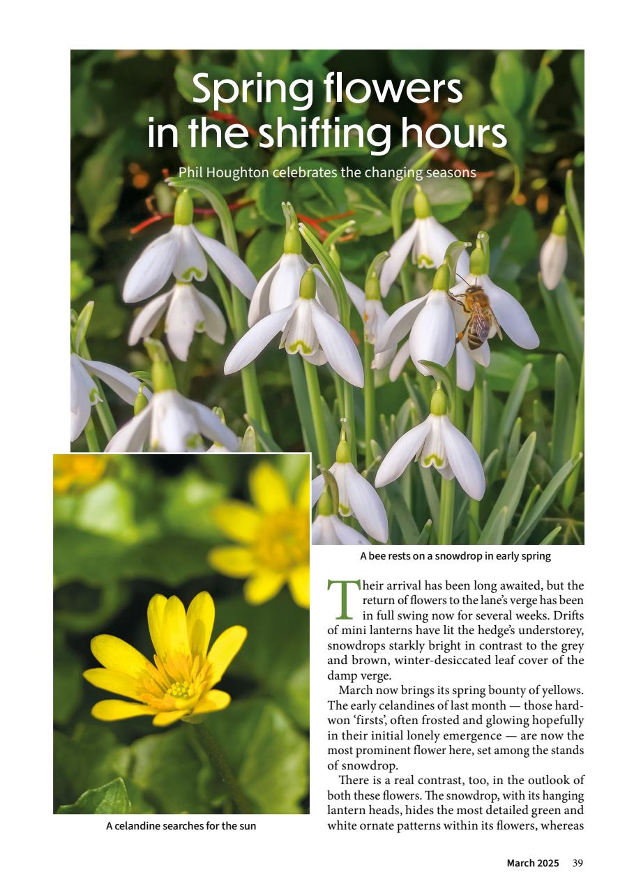 Cumbria and Lakeland Walker Preview Pages