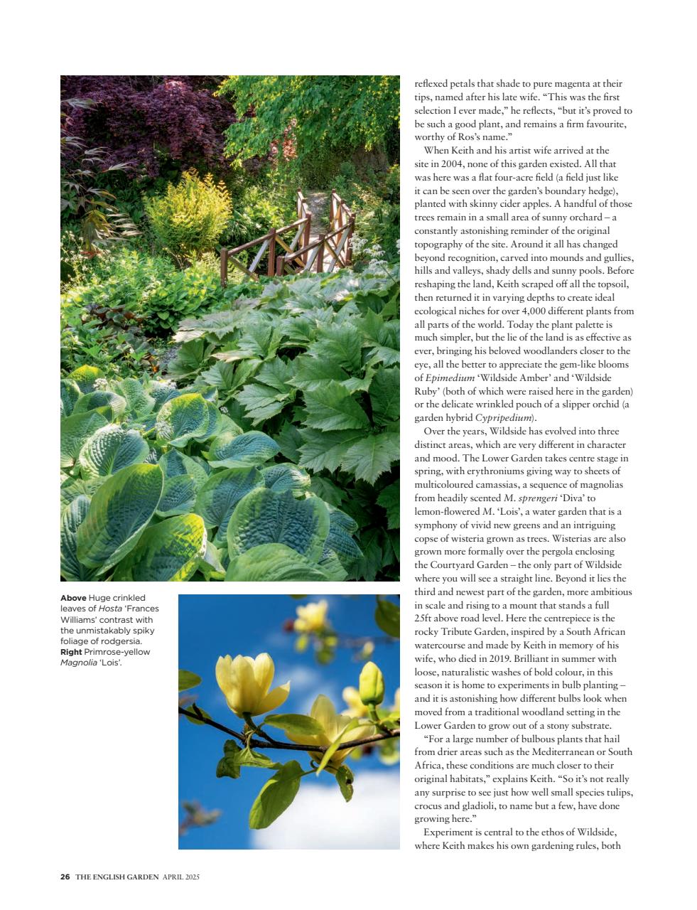 The English Garden Preview Pages