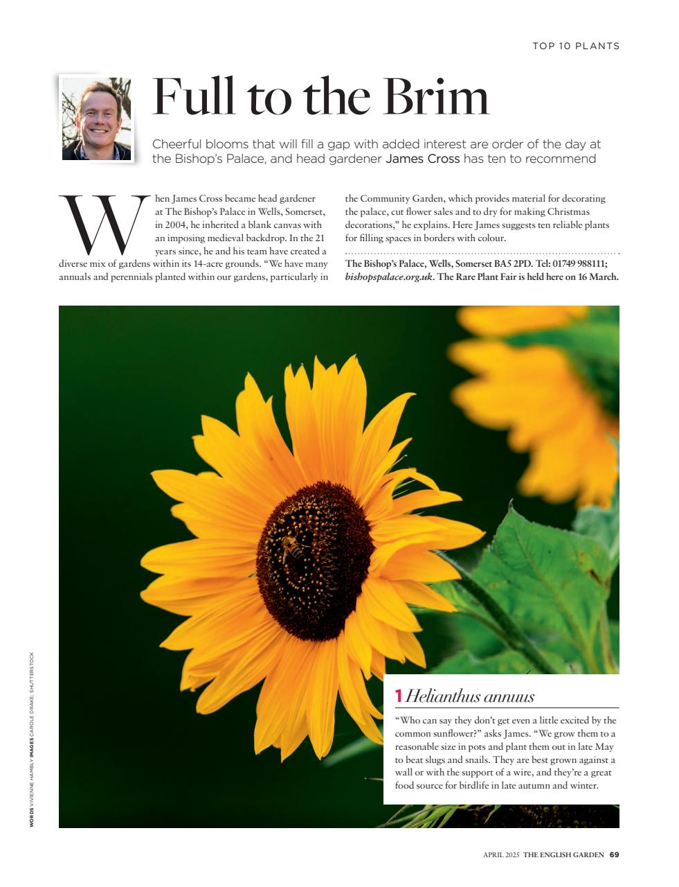 The English Garden Preview Pages