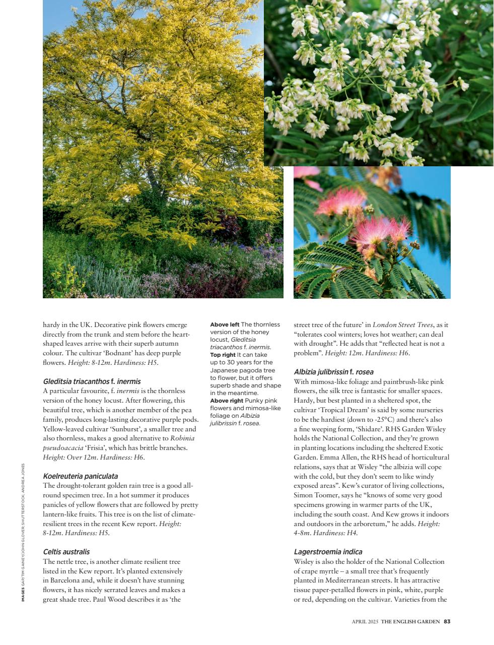 The English Garden Preview Pages