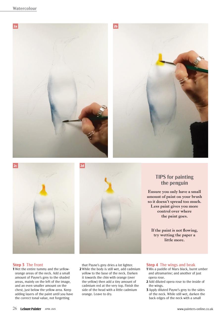 Leisure Painter & The Artist Preview Pages