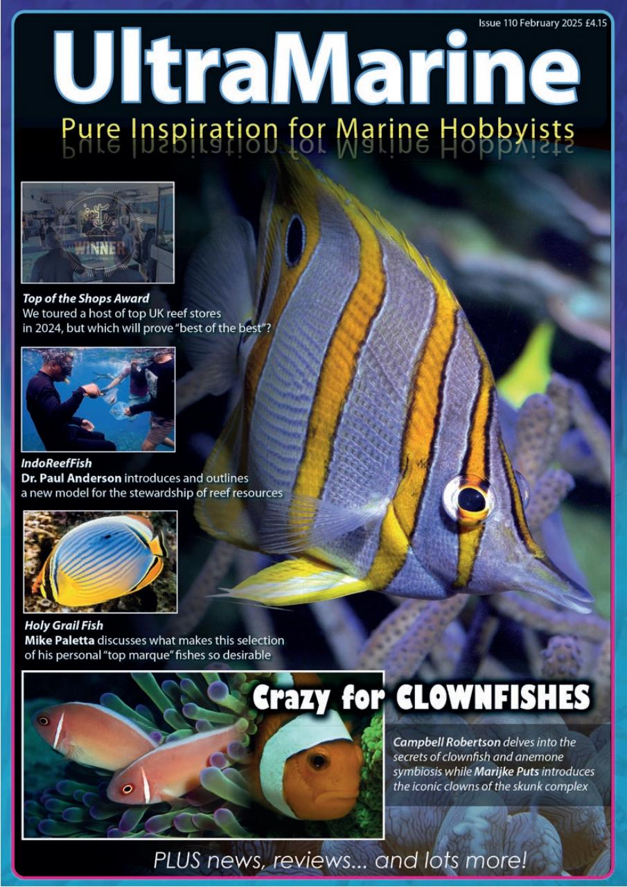 UltraMarine Magazine Preview Pages