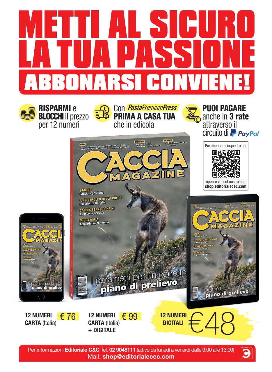 Caccia Magazine Preview Pages