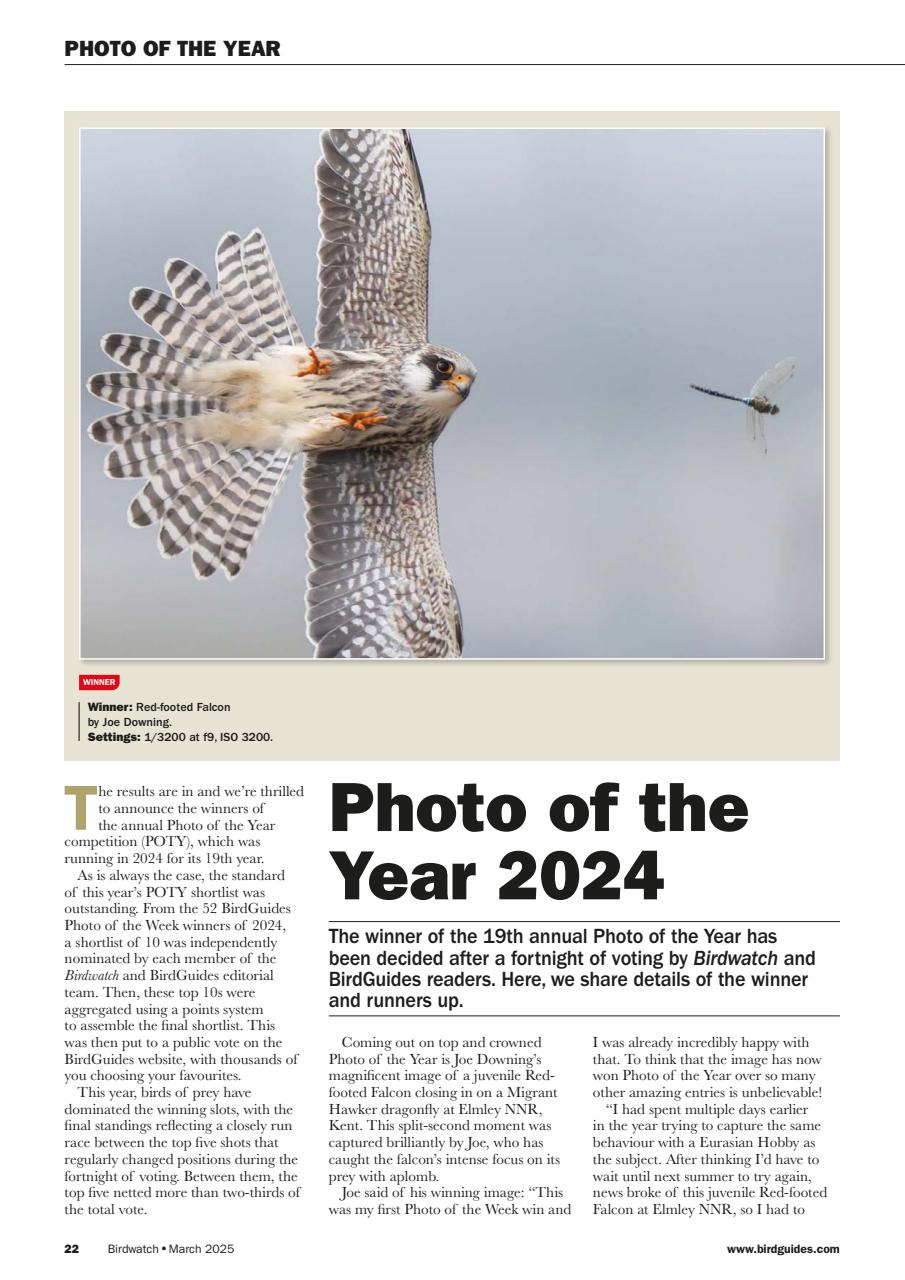 Birdwatch Magazine Preview Pages