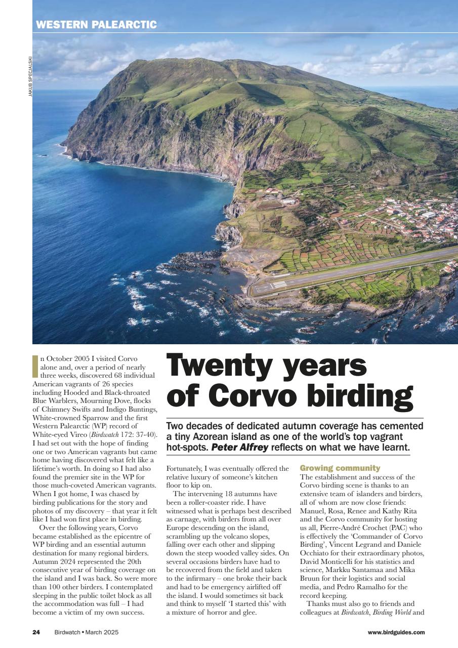 Birdwatch Magazine Preview Pages