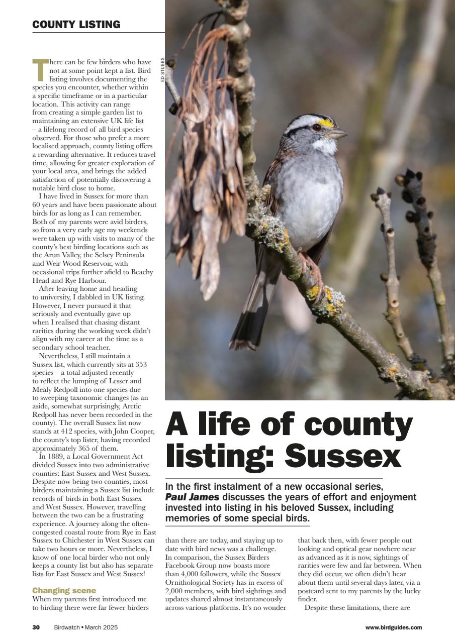Birdwatch Magazine Preview Pages