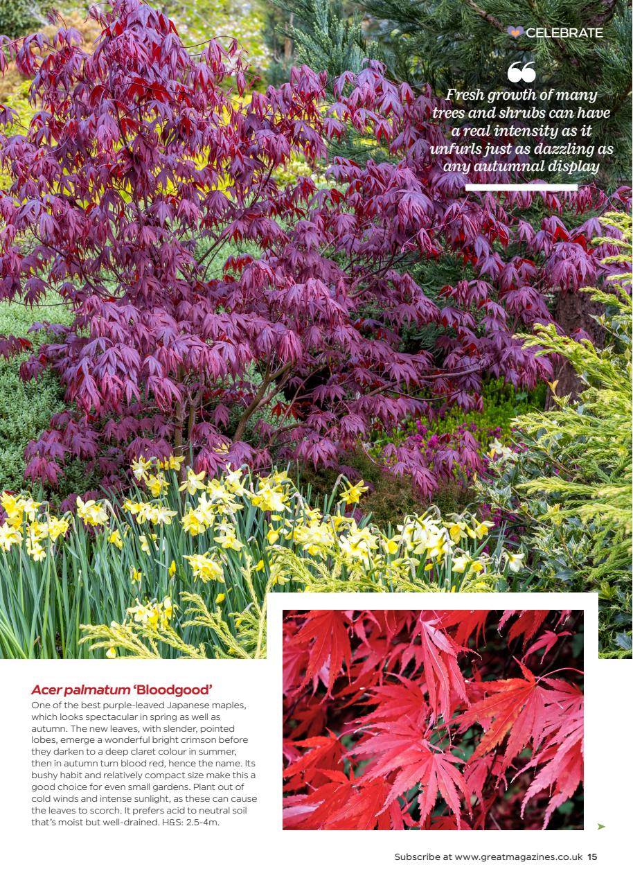 Garden Answers Preview Pages