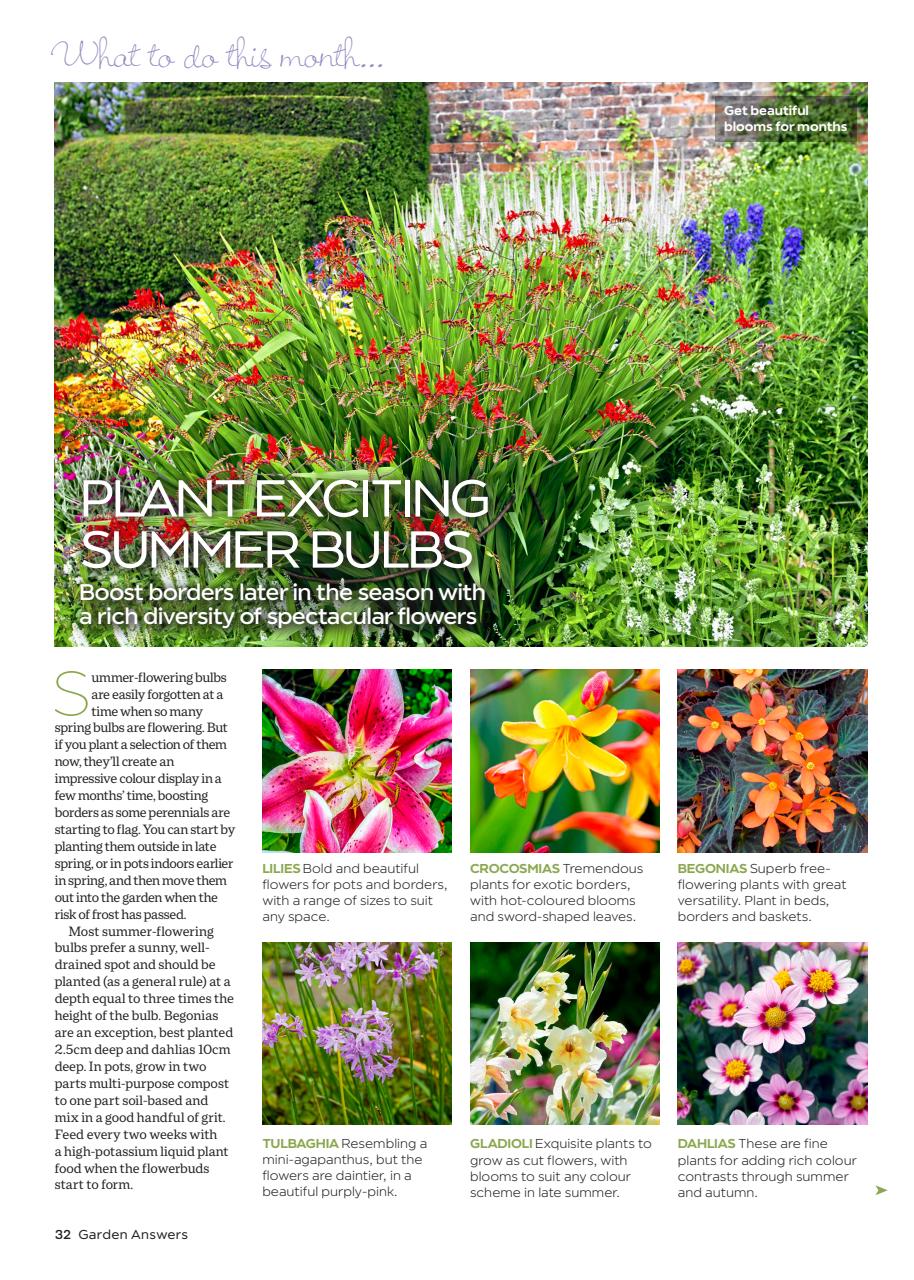 Garden Answers Preview Pages