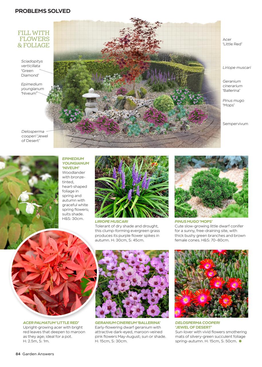 Garden Answers Preview Pages