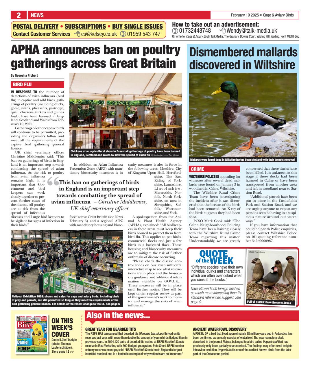 Cage & Aviary Birds Preview Pages