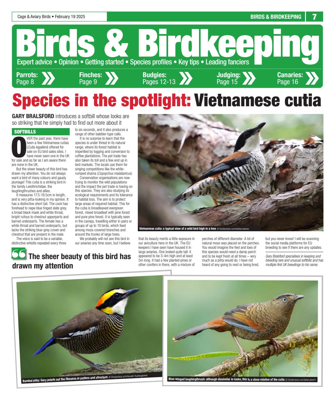 Cage & Aviary Birds Preview Pages