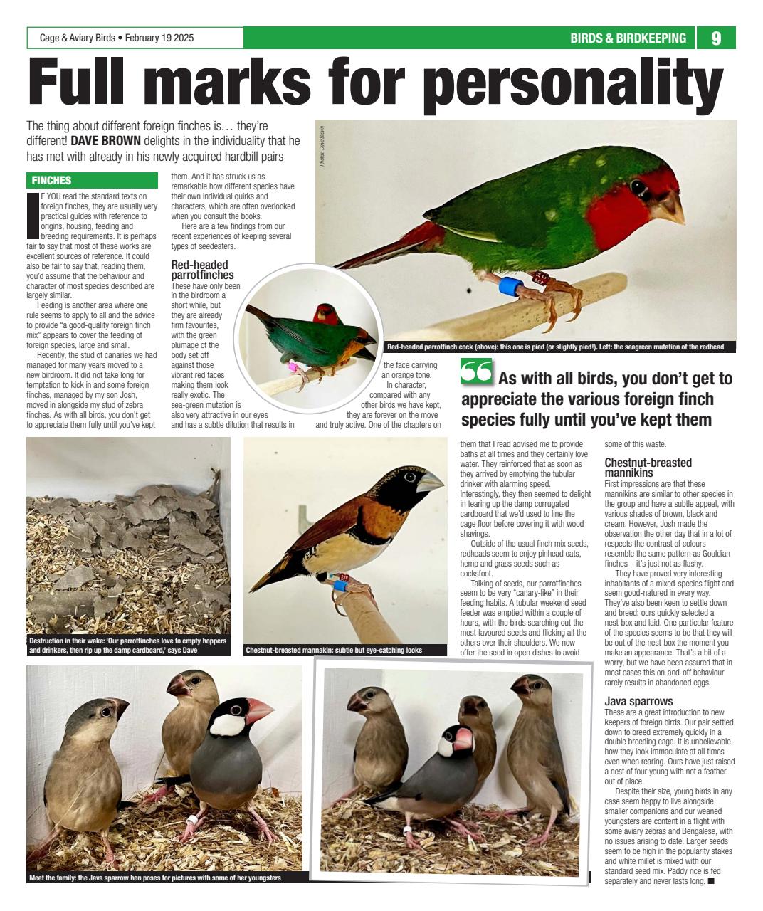 Cage & Aviary Birds Preview Pages