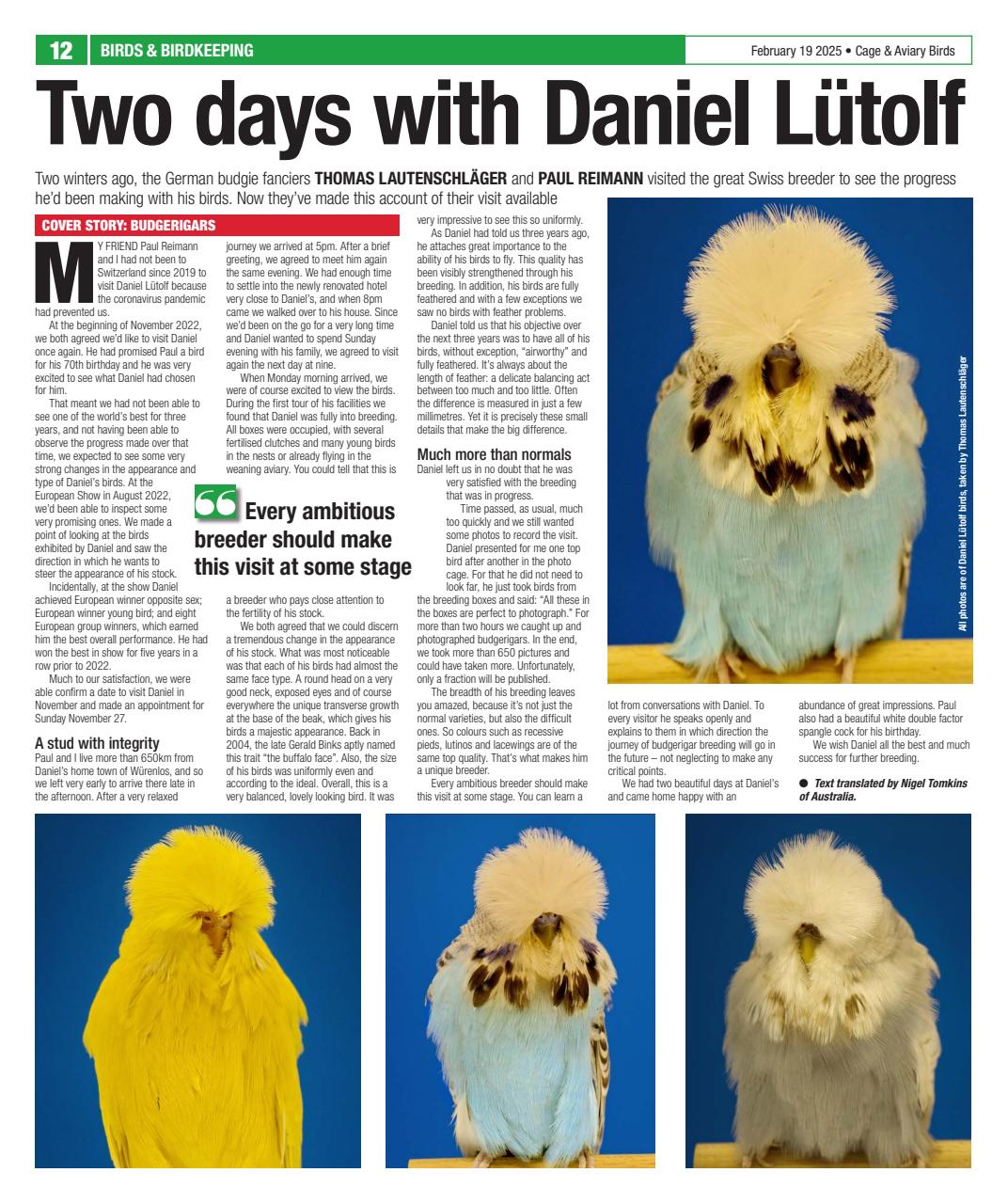 Cage & Aviary Birds Preview Pages