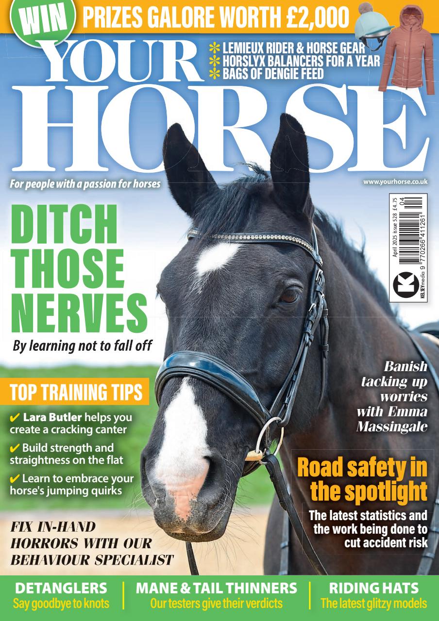 Your Horse Preview Pages