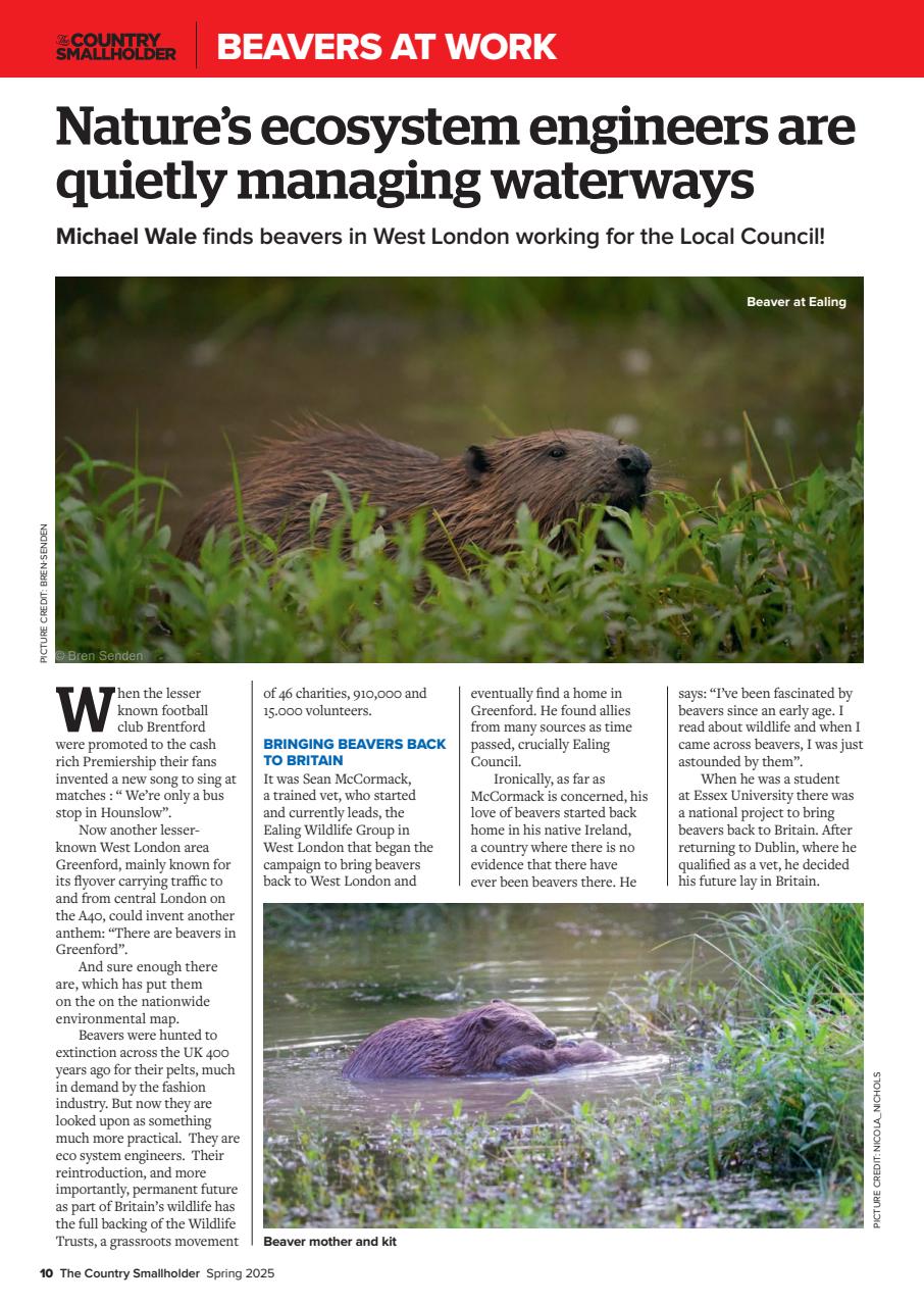 The Country Smallholder Preview Pages