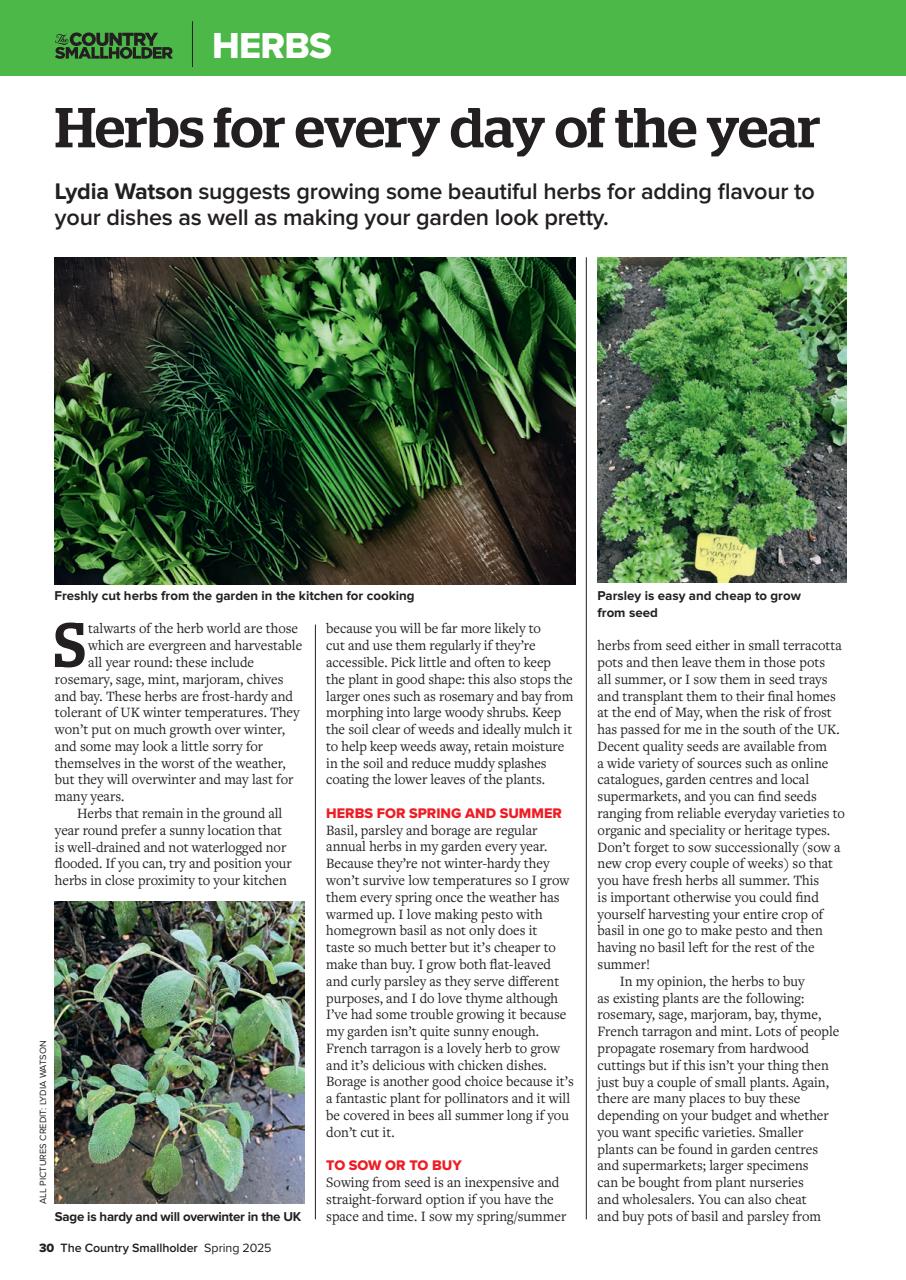 The Country Smallholder Preview Pages