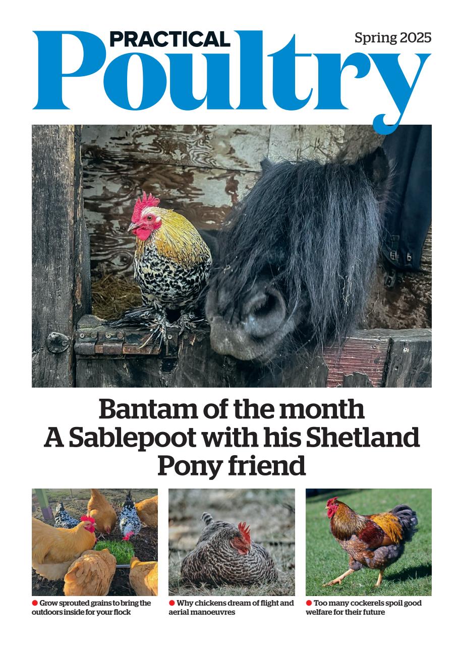 The Country Smallholder Preview Pages