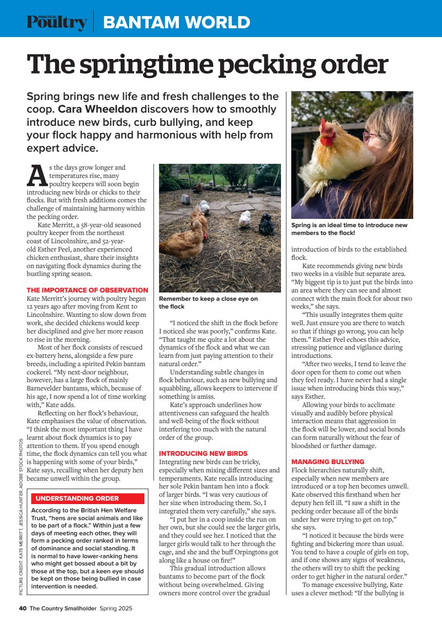 The Country Smallholder Preview Pages