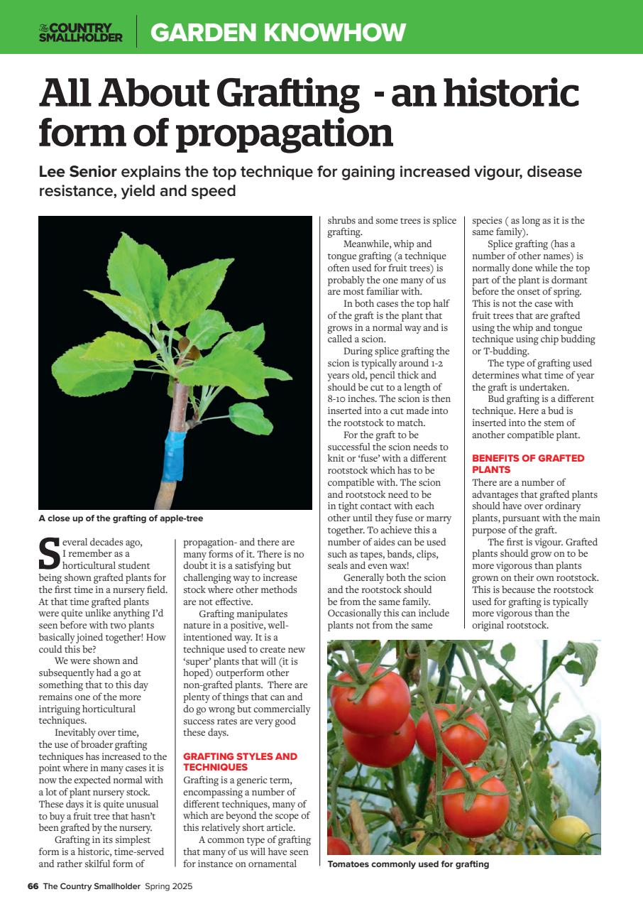 The Country Smallholder Preview Pages