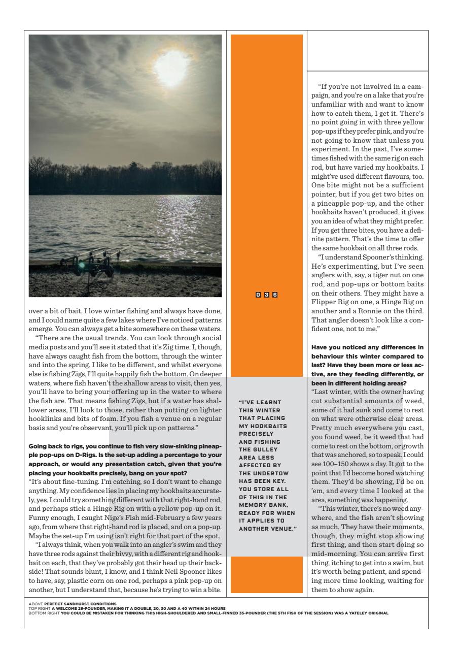 CARPology Magazine Preview Pages
