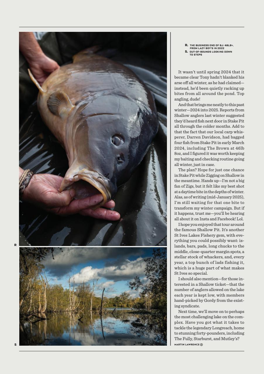 CARPology Magazine Preview Pages