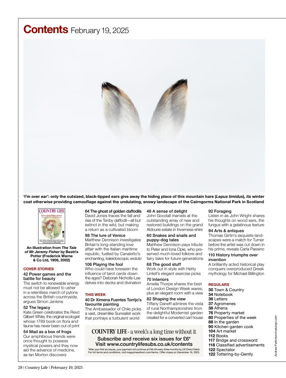 Country Life Preview Pages