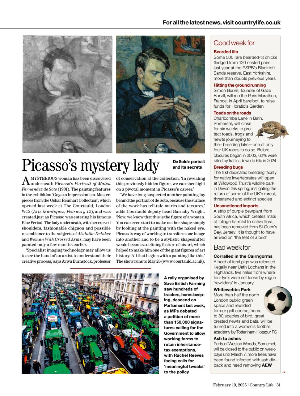 Country Life Preview Pages